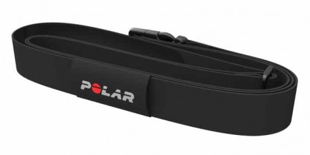 Polar Equine Belt